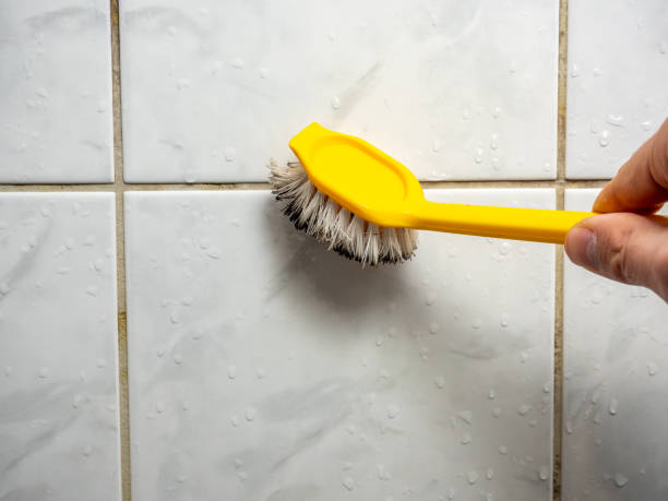 Best Affordable Mold Removal  in Copperas Cove, TX