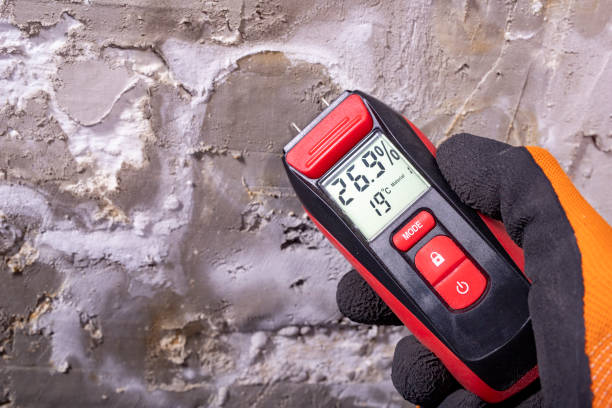 Best Home Mold Removal  in Copperas Cove, TX