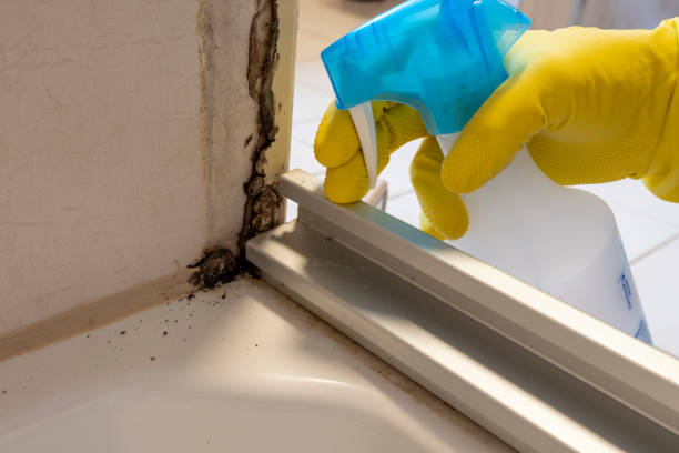 Best Mold Cleaning Services  in Copperas Cove, TX
