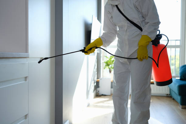 Mold Removal and Inspection in Copperas Cove, TX