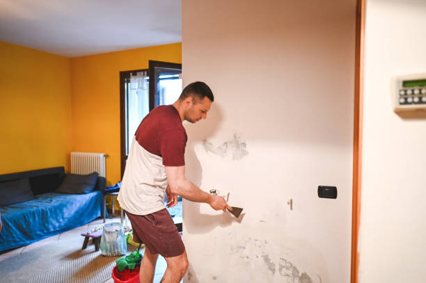 Best Local Mold Removal Service  in Copperas Cove, TX