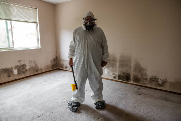 Best Fast Mold Removal  in Copperas Cove, TX